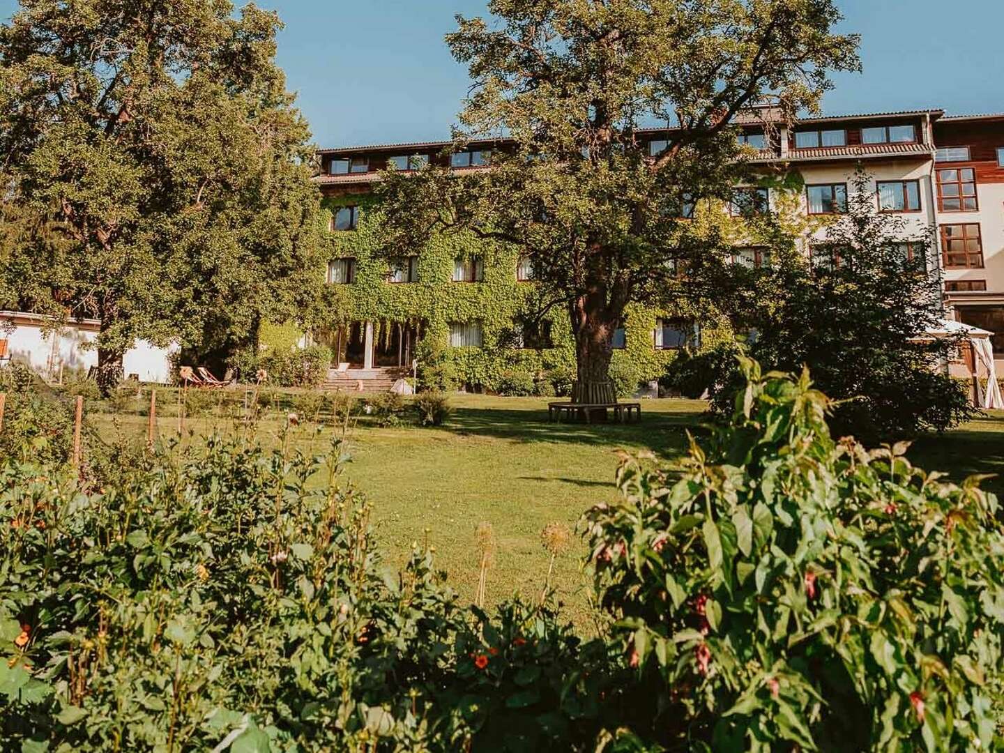 Im grünen Herzen der Steiermark inkl. Dinner bei Kerzenschein | 2 Nächte