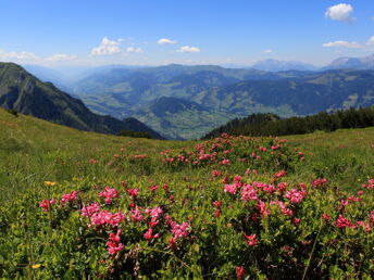 6=5 Jänner Auszeit in den Salzburger Bergen inkl. 4-Gang Abendessen  