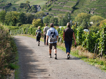 Wandern auf dem Rheinsteg - inkl. Abendessen 2 Nächte