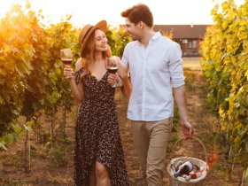 Fahrradgenuss im Kraichgau 