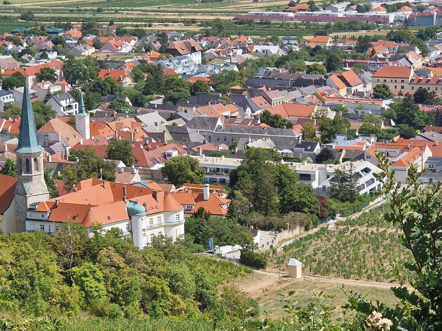 Golfurlaub im Winzerhotel****Gumpoldskirchen I 4 Nächte