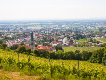 Golfurlaub im Winzerhotel****Gumpoldskirchen I 2 Nächte