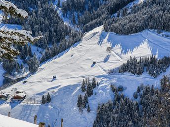 Ferienskilauf im Salzburger Land mit Kulinarik | 6 Nächte 