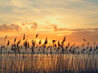 Long-Stay Bonus | 5 Nächte Urlaub am Neusiedler See