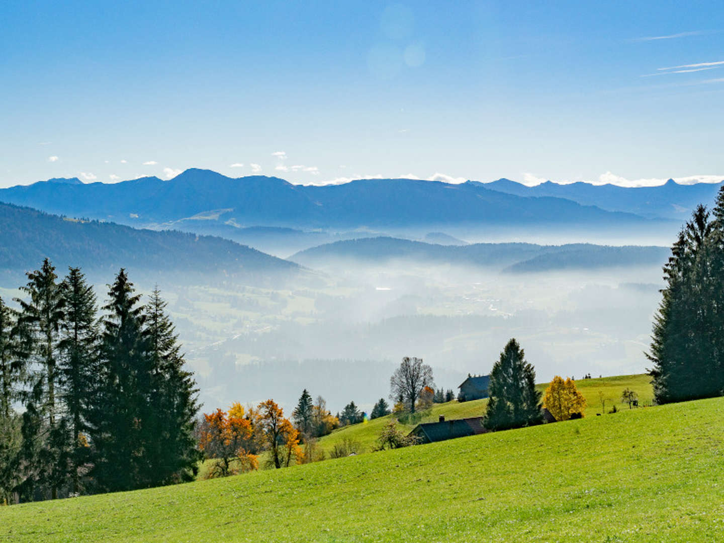 Städtetrip nach Bregenz - Natur, Kultur & unvergessliche Erlebnisse am Bodensee | 5 Nächte