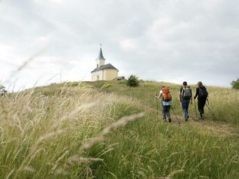 Kurzurlaub Natur pur - Auszeit genießen im Weinviertel | 3 Nächte