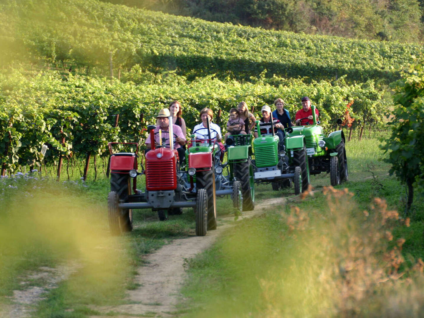 Genussurlaub im Weinviertel inkl. Sekt & 5-Gang-Menü | 5 Nächte