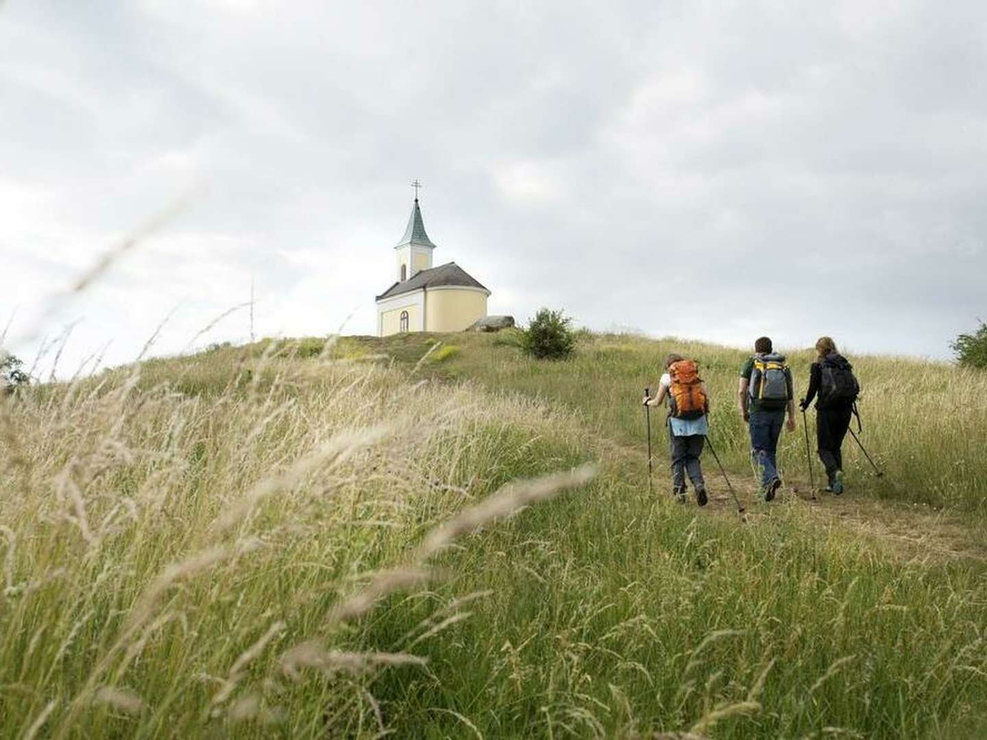 Genussurlaub im Weinviertel inkl. Sekt & 5-Gang-Menü | 1 Nacht