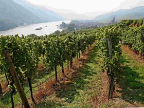 Genussurlaub im Weinviertel inkl. Sekt & Genuss-Menü | 2 Nächte