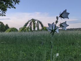 7 Tage Auszeit in Bad Blumau |  inkl. 20% Ermäßigung im Rogner Bad - 5 Autominuten entfernt