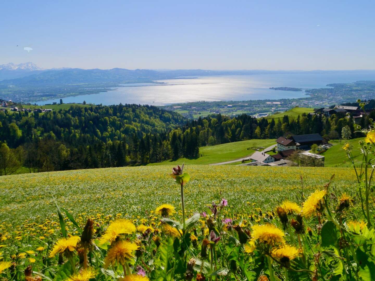 Kurzurlaub nahe Bodensee in Vorarlberg  | 3 Nächte