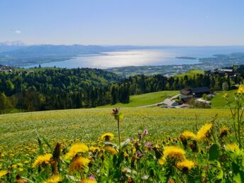 Kurzurlaub nahe Bodensee in Vorarlberg | 4 Nächte