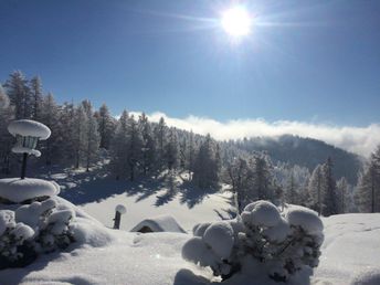 Winterwandern in Ramsau am Dachstein inkl. Wintercard | 3 Nächte