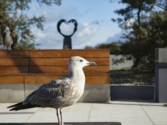 Gemütliches Hotel 500 m vom Strand | 6 ÜF