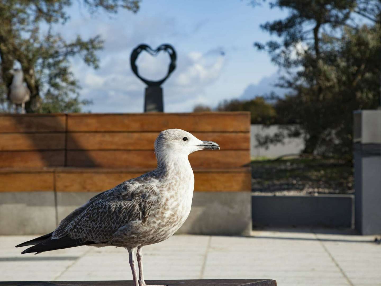 Gemütliches Hotel 500 m vom Strand | 4 ÜF