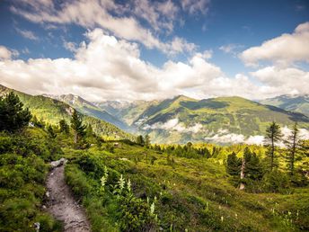 Aktivurlaub im Salzburger Land mit Wellnessgenuss & GasteinCard | 3 Nächte