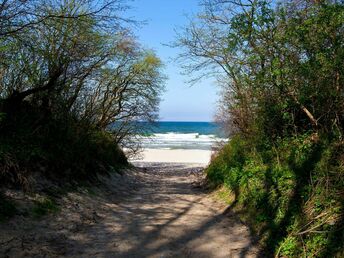 Strandurlaub 12 km von Kolberg | 5ÜHP 