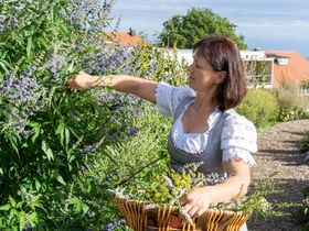 Höchsten Zeit 6 Tage mit Blick Richtung Bodensee und Alpenkette