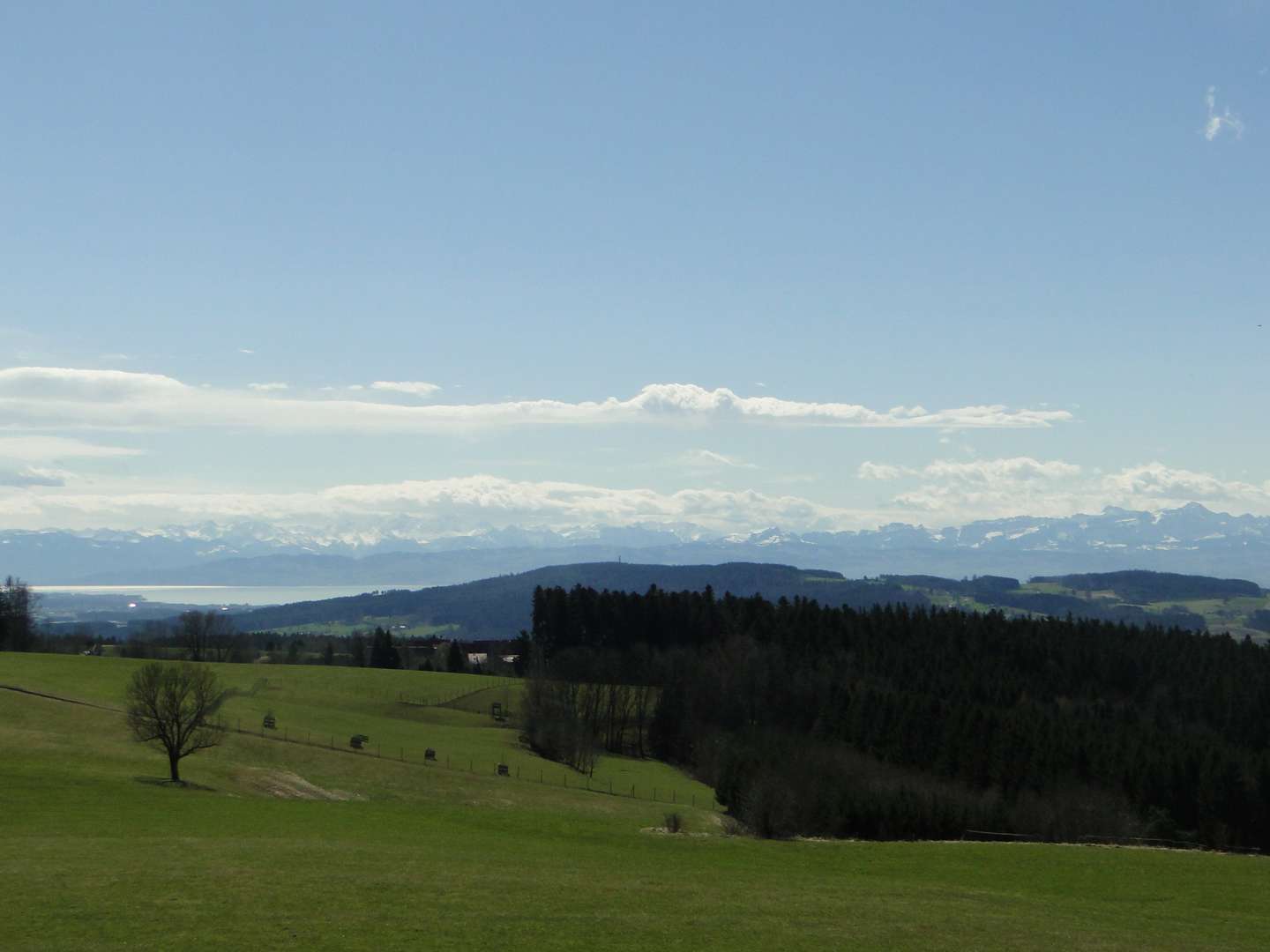 Höchste(n) Auszeit mit Blick auf Bodensee & Alpen genießen - 4 Tage