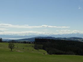 Höchsten Zeit 6 Tage mit Blick Richtung Bodensee und Alpenkette