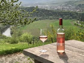 Weingut erkunden