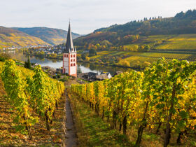 Auszeit in den Weinbergen an der Mosel | 4 Tage