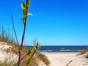 Kurzurlaub an der Ostsee in Swinemünde | 6 Tage mit HP     