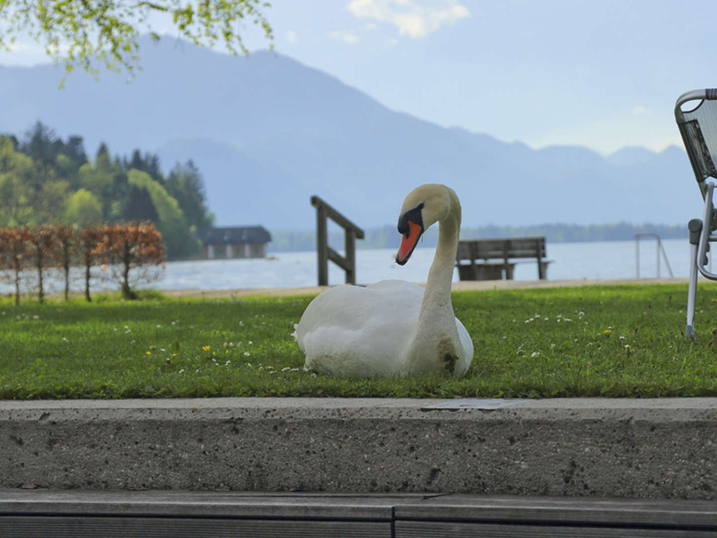 Wanderurlaub am zauberhaften Wolfgangsee - Berge, See & Abenteuer | 2 Nächte