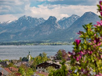 Frühlingserwachen am Wolfgangsee - Natur pur im Salzburger Land | 6 Nächte