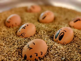 4 Tage Fränkischer Kurztrip inkl. Abendessen, Brauereiführung & Stadtführung Bamberg