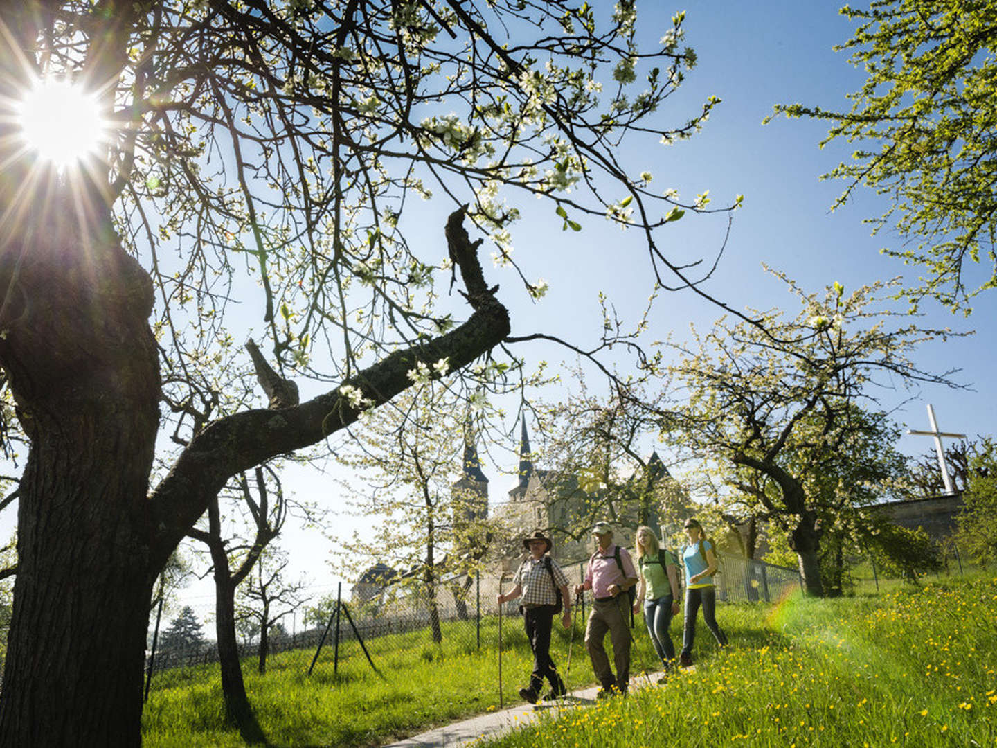 4 Tage Fränkischer Kurztrip inkl. Abendessen, Brauereiführung & Stadtführung