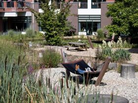 Entspannung und Natur in der Provinz Garderen Niederlande 