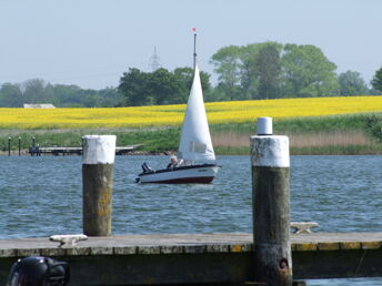 Silvester in Kappeln an der Schlei