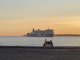 8 Tage Detoxen Auf Norddeutsch