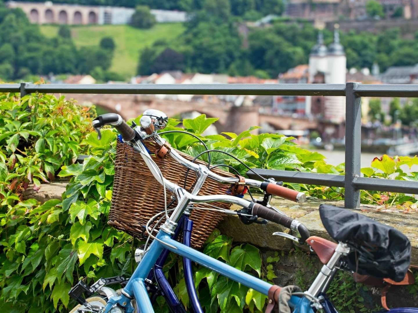 2 Tage Kurzurlaub - Romantisches Heidelberg