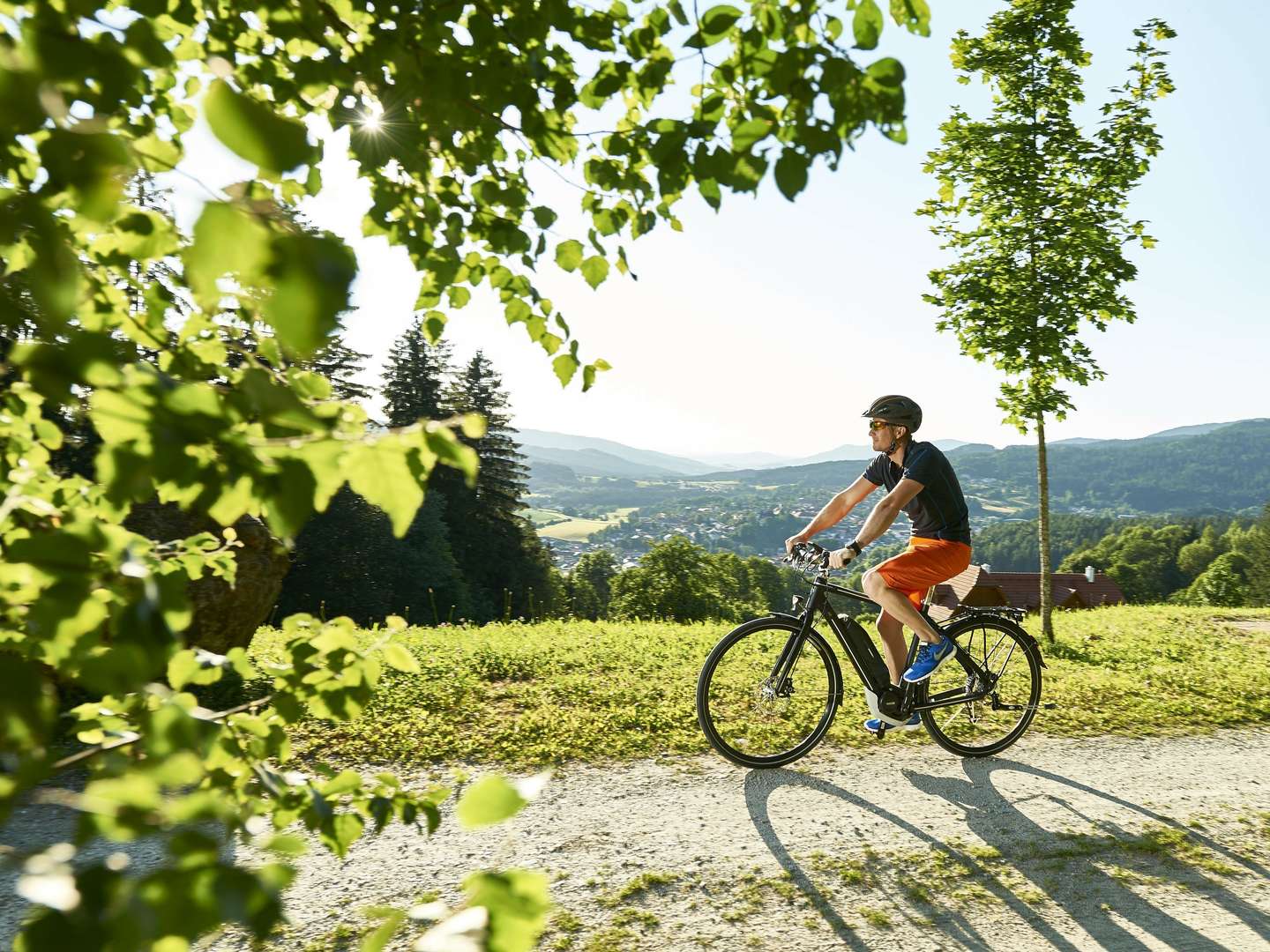 Radlfahrn mit E-Power entlang der Donau - 6 Tage