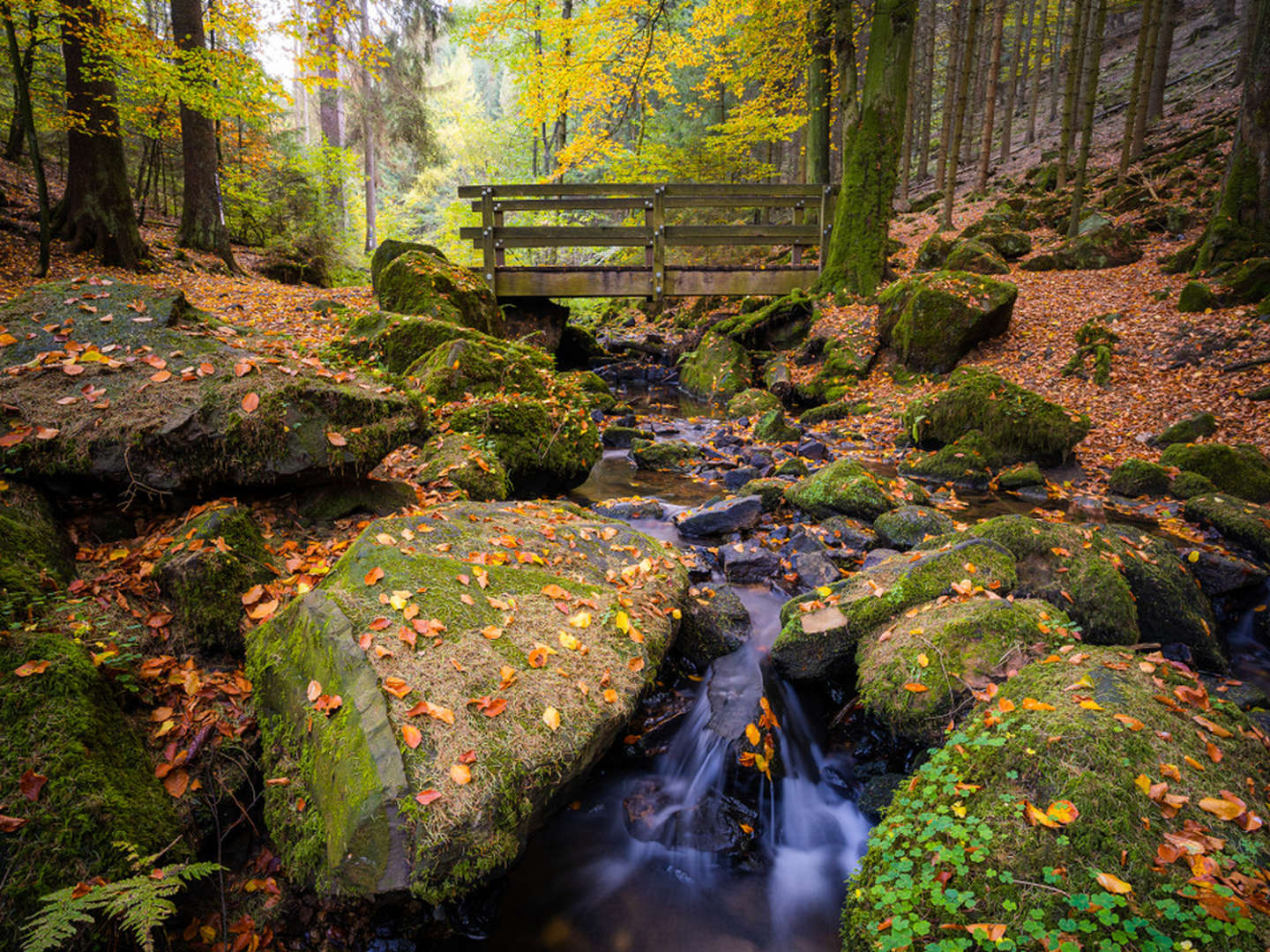 5 Tage Kurzurlaub am Teutoburger Wald | Mix aus City-Trip in Bielefeld & Natur pur 2