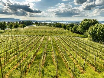 3 Tage Kurzurlaub - Auszeit vom Alltag  am Bodensee