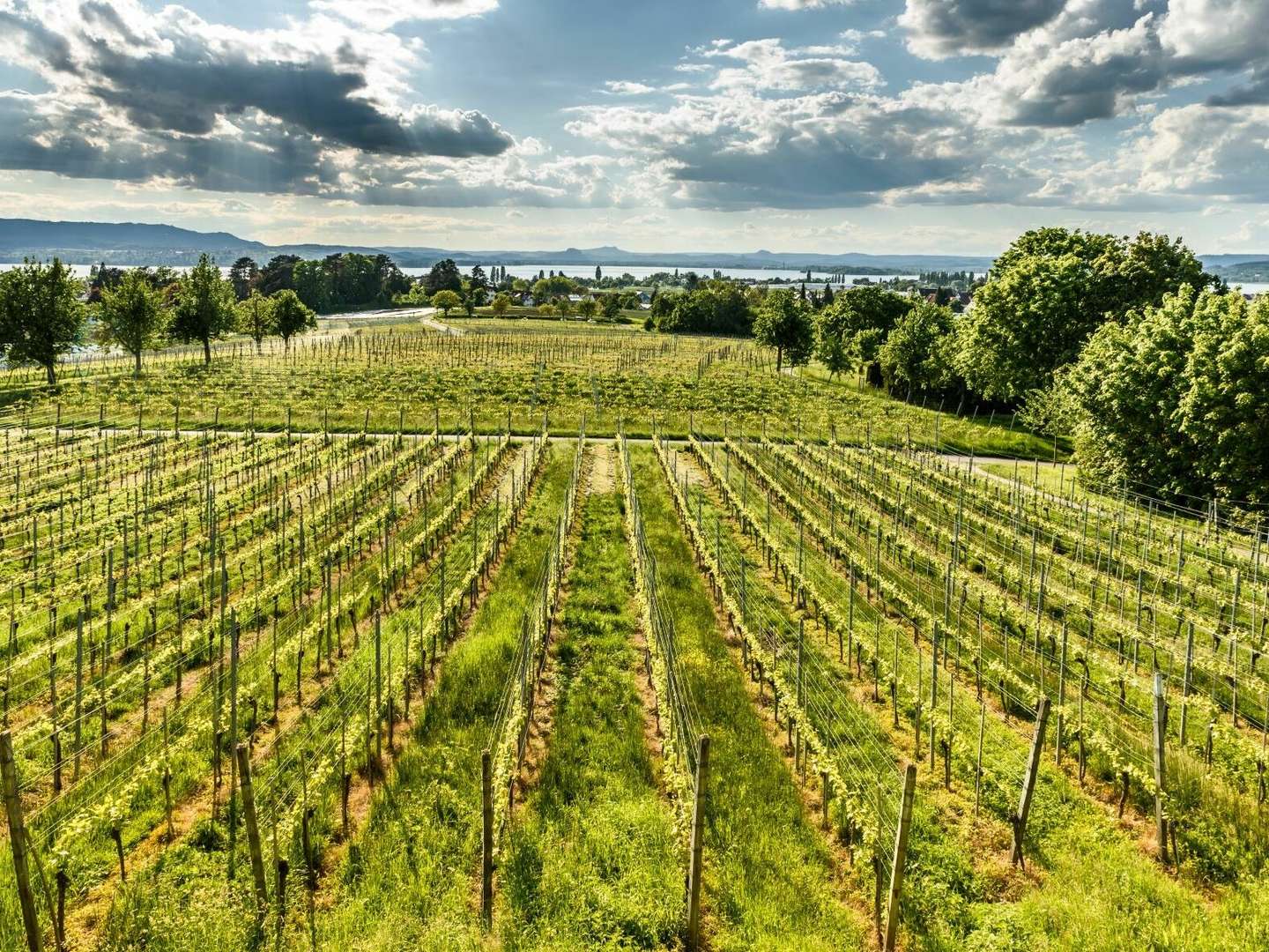 4 Tage Kurzurlaub - Auszeit vom Alltag am Bodensee