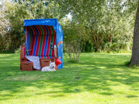 Silvester auf ruhiger Nordseeinsel Pellworm 