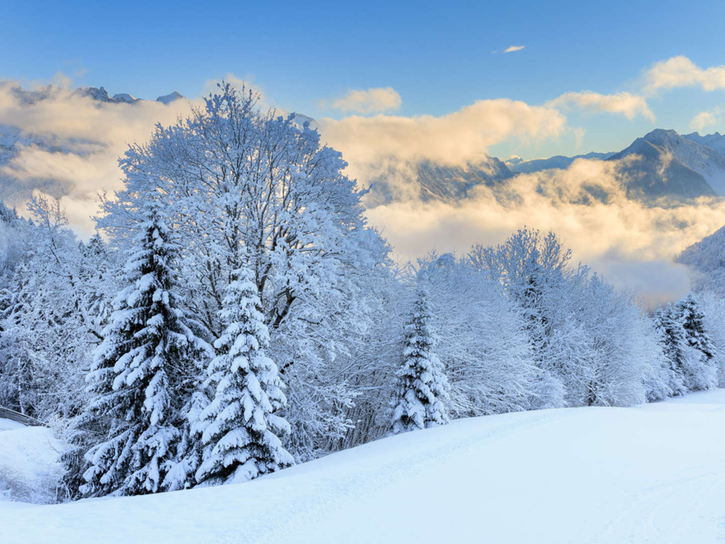 Familien Winterwochen in Vorarlberg inkl. Kinderbetreuung - 10 % Ermäßigung 2026