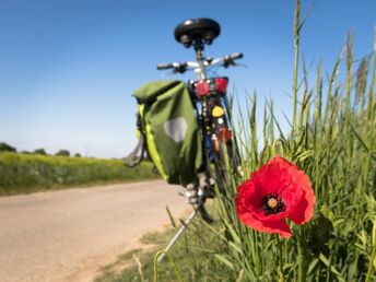 Wein & Bike Special im Thermen- und Vulkanland Stmk, 2 Nächte / 3 Tage inkl. E-Bike 