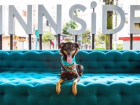 Aktive Auszeit in Luxemburg inkl. Leihfahrrad - 2 Tage