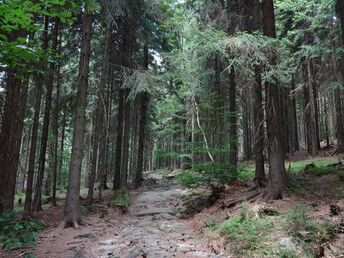 Wellness Auszeit in Desendorf - 3 Nächte 