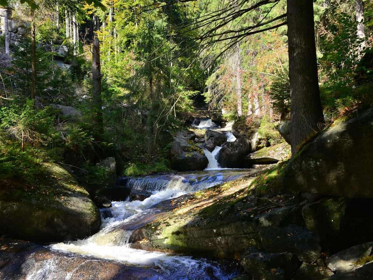 Wellness Auszeit in Desendorf - 2 Nächte