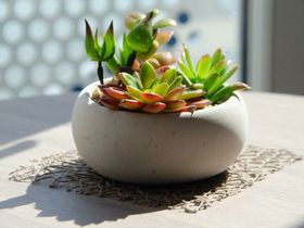 Wein-Entdeckungsreise 3 Tage/2ÜN