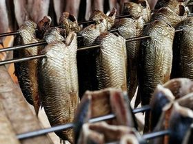 Kurzurlaub im berühmtesten Fischerdorf Hollands - 3 Tage