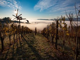 Weingenuss mit Wellness in der  Südsteiermark | 2 Nächte | Adults Only