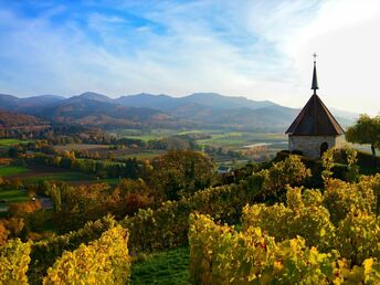 Weingarten zum Kennenlernen - 5 Tage im Schwarzwald