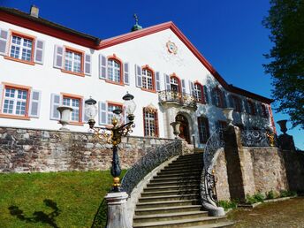 Weingarten zum Kennenlernen - 4 Tage im Schwarzwald